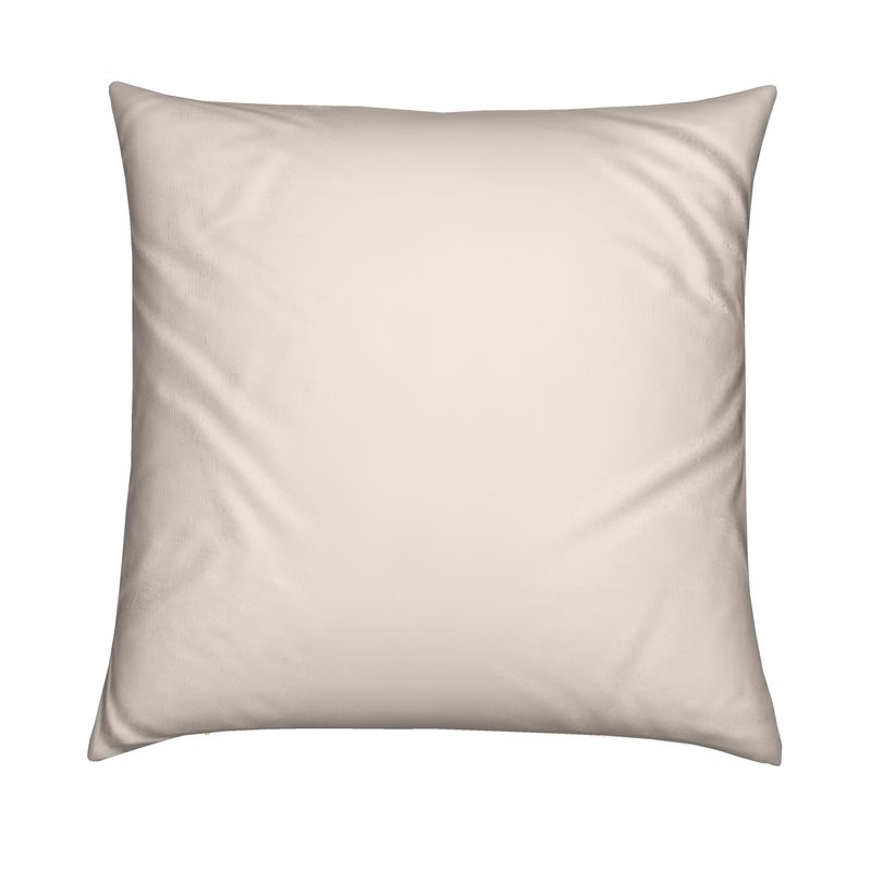 Cushion