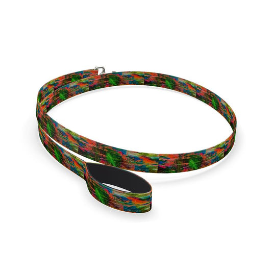 Pet lead